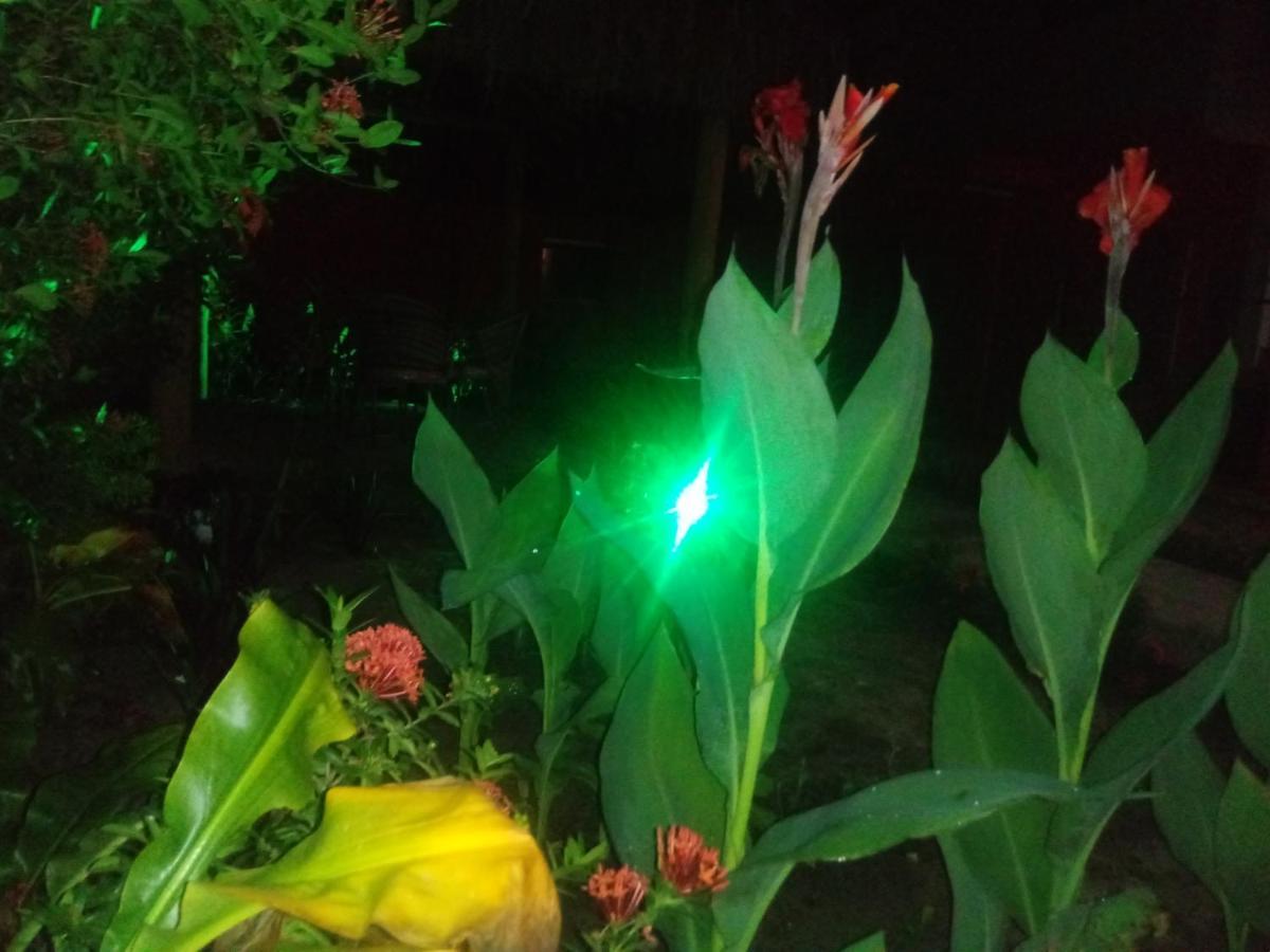 Pousada Luar De Monte Cristo Araripe de Baixo Buitenkant foto